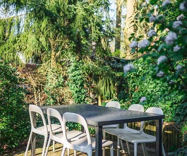 In Het Bos Met Jacuzzi En Sauna Lunteren
