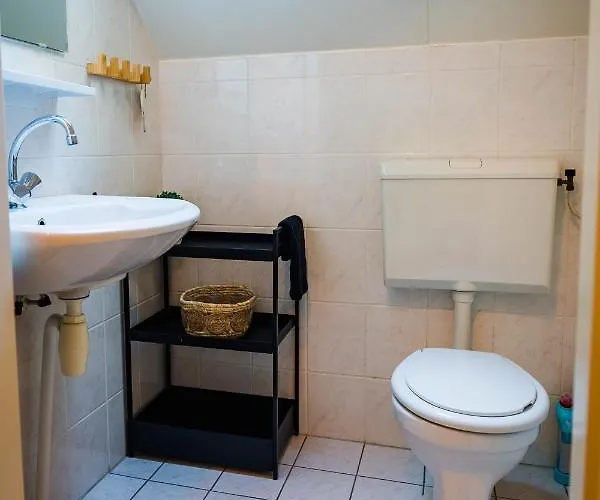 In Het Bos Met Jacuzzi En Sauna